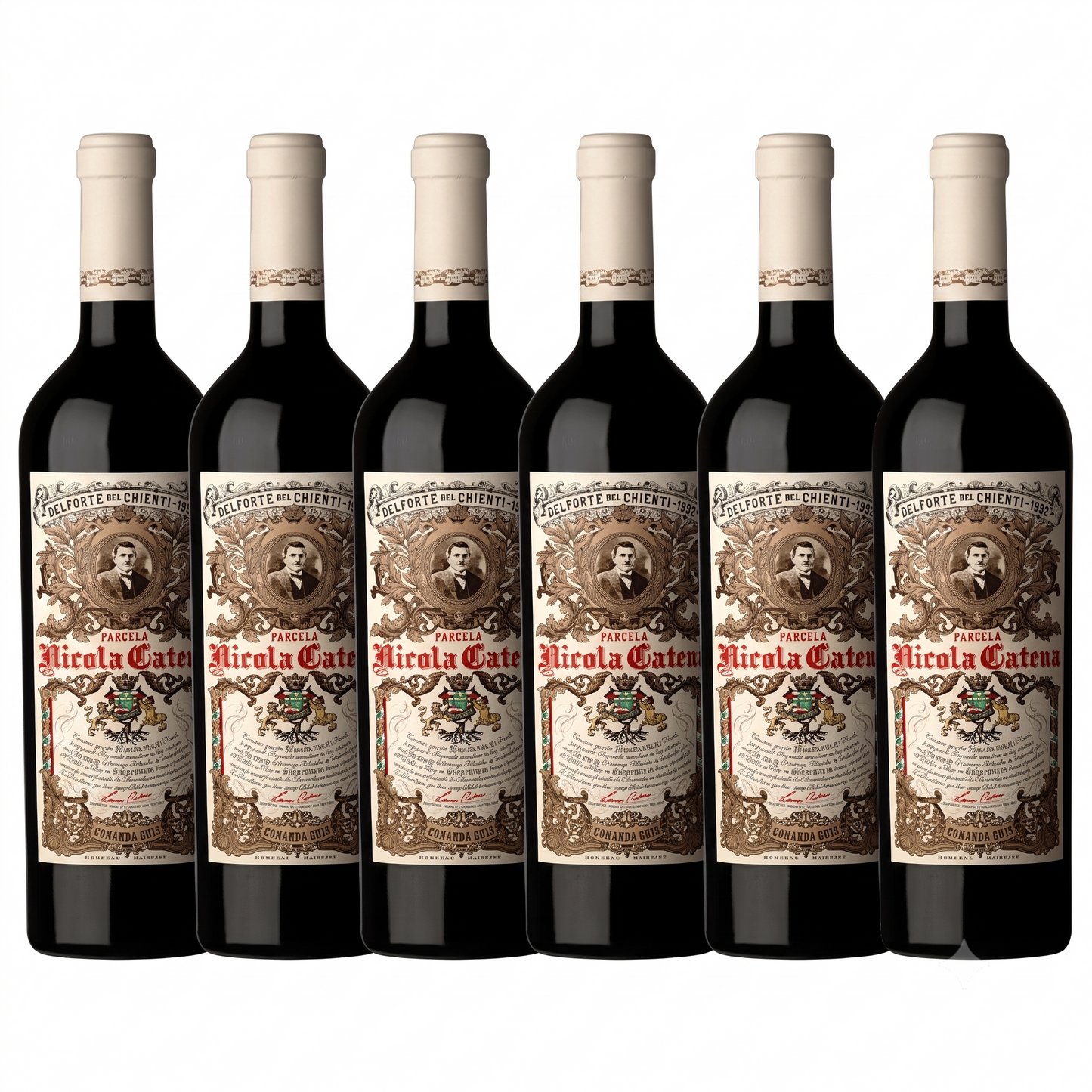 Kit 6 Nicola Catena Bonarda 2020