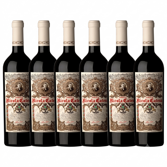 Kit 6 Nicola Catena Bonarda 2020