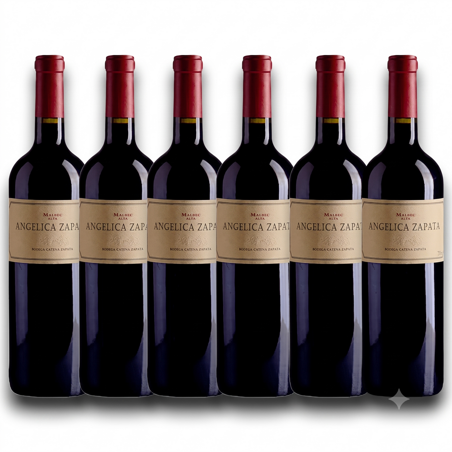 Kit 6 Angelica Zapata Malbec 2020