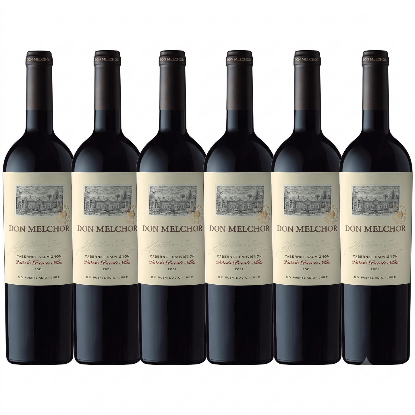 Kit 6 Don Melchor Cabernet Sauvignon 2021